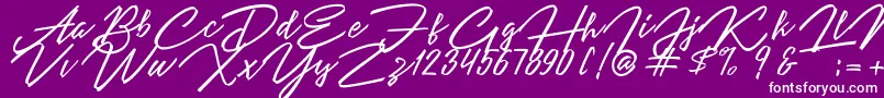 Angelina Script Font – White Fonts on Purple Background
