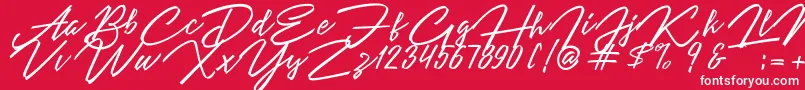 Angelina Script Font – White Fonts on Red Background