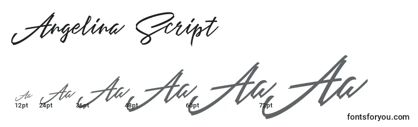 Размеры шрифта Angelina Script (119616)
