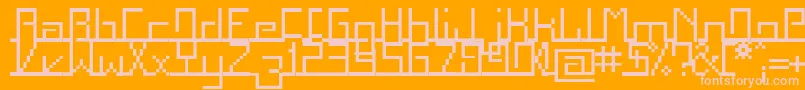fuente Squarg – Fuentes Rosadas Sobre Fondo Naranja
