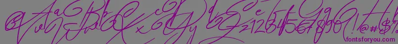 Шрифт Angers Script – фиолетовые шрифты на сером фоне