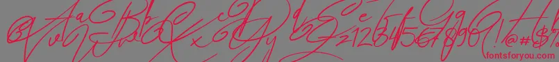 Angers Script Font – Red Fonts on Gray Background
