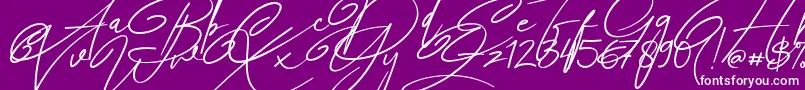 Angers Script-Schriftart – Weiße Schriften auf violettem Hintergrund