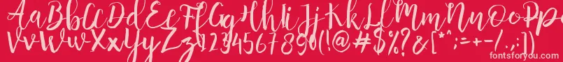 Anggelica Merona   Font – Pink Fonts on Red Background