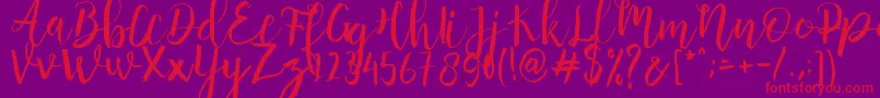 Anggelica Merona  -Schriftart – Rote Schriften auf violettem Hintergrund