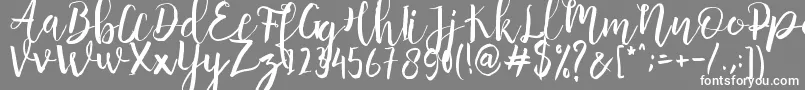 Anggelica Merona  -Schriftart – Weiße Schriften auf grauem Hintergrund