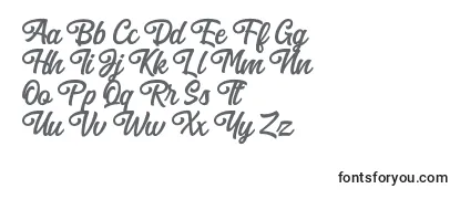 Обзор шрифта Anghones