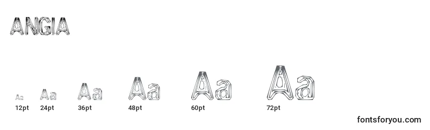 Размеры шрифта ANGIA    (119642)