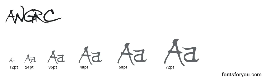 ANGRC    (119652) Font Sizes