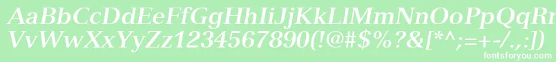 NuanceSsiBoldItalic Font – White Fonts on Green Background