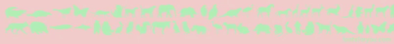 anim     Font – Green Fonts on Pink Background