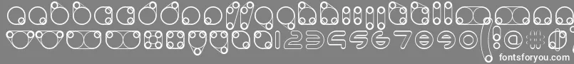 animoto 2019 04 13 Font – White Fonts on Gray Background