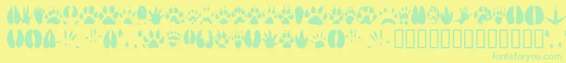 ANIMT    Font – Green Fonts on Yellow Background