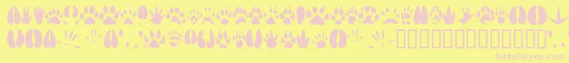 ANIMT    Font – Pink Fonts on Yellow Background