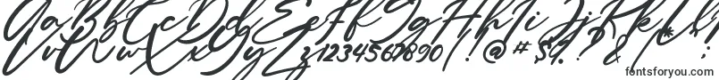 Шрифт Anitto – скриптовые шрифты