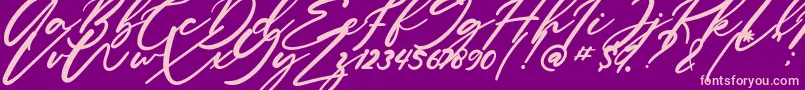 Anitto Font – Pink Fonts on Purple Background