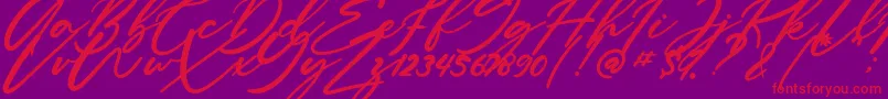 Anitto Font – Red Fonts on Purple Background