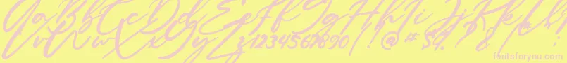 Anitto Font – Pink Fonts on Yellow Background