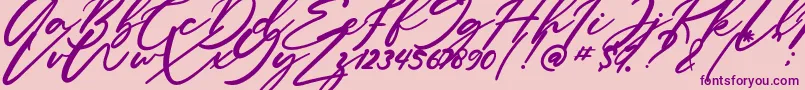 Anitto Font – Purple Fonts on Pink Background