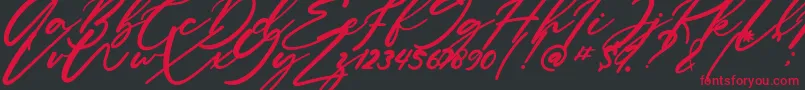 フォントAnitto – 黒い背景に赤い文字