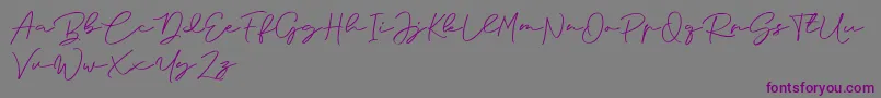 Anjel Signature For Personal Use-fontti – violetit fontit harmaalla taustalla