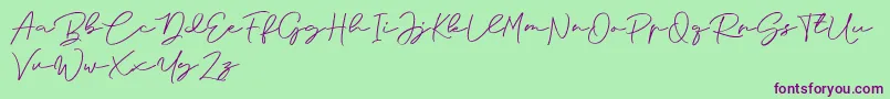 Anjel Signature For Personal Use-Schriftart – Violette Schriften auf grünem Hintergrund