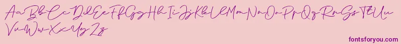 More about Anjel Signature For Personal Use Font Anjel Signature For Personal Use Font – Purple Fonts on Pink Background