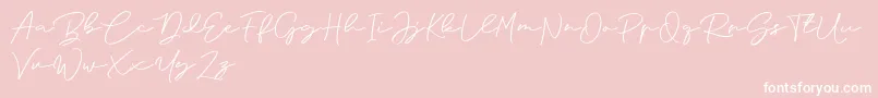 Anjel Signature For Personal Use Font – White Fonts on Pink Background