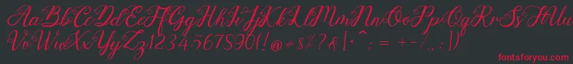Anjelina Font – Red Fonts on Black Background