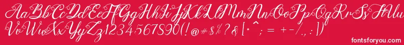 Anjelina Font – White Fonts on Red Background