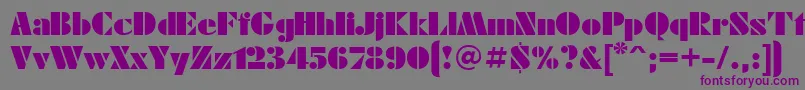 フォントFte – 紫色のフォント、灰色の背景