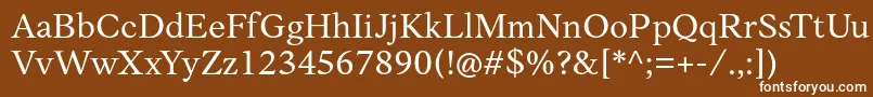 AnkoPersonalUse Font – White Fonts on Brown Background