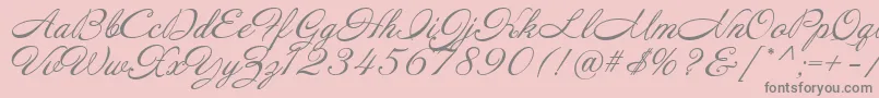 Annabelle Font – Gray Fonts on Pink Background