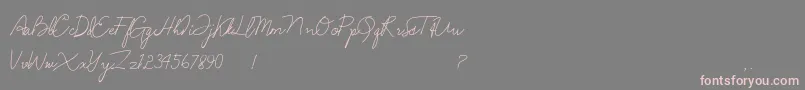Anndanlusia-Schriftart – Rosa Schriften auf grauem Hintergrund