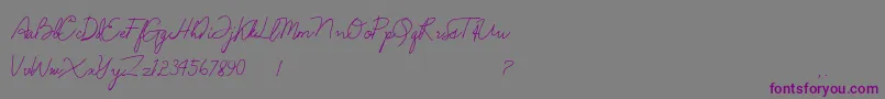 Шрифт Anndanlusia – фиолетовые шрифты на сером фоне