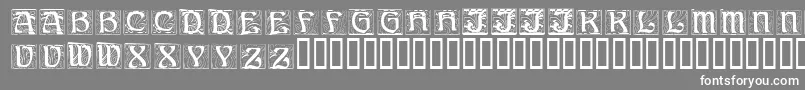 AnnStone-Schriftart – Weiße Schriften auf grauem Hintergrund