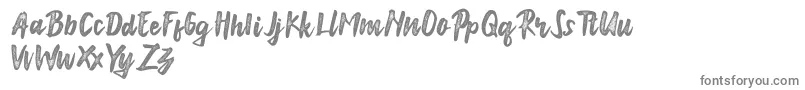 Anonim Font – Gray Fonts