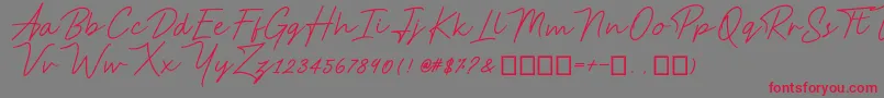 AnsteryScript Font – Red Fonts on Gray Background