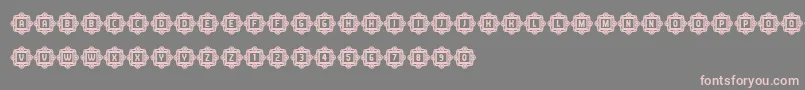 AnswerCapitals Font – Pink Fonts on Gray Background