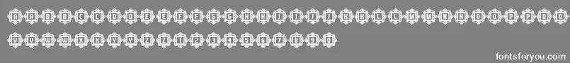 AnswerCapitals Font – White Fonts on Gray Background