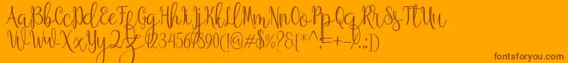 Anteater Font – Brown Fonts on Orange Background