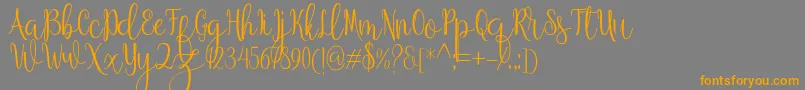 Anteater-Schriftart – Orangefarbene Schriften auf grauem Hintergrund