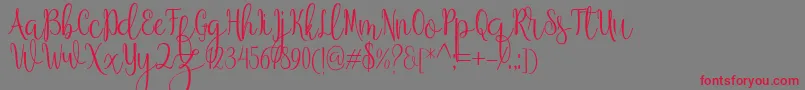 Anteater Font – Red Fonts on Gray Background