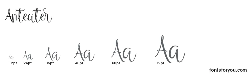 Размеры шрифта Anteater