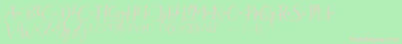 Antefand Font – Pink Fonts on Green Background