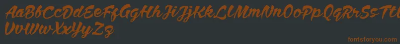 Anthem Nasney Font – Brown Fonts on Black Background