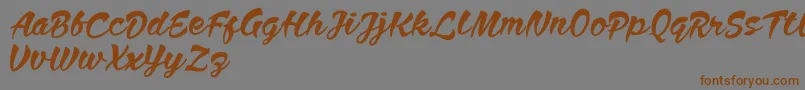 Anthem Nasney Font – Brown Fonts on Gray Background