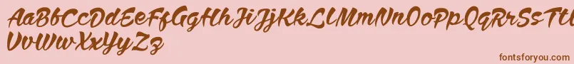 Anthem Nasney Font – Brown Fonts on Pink Background