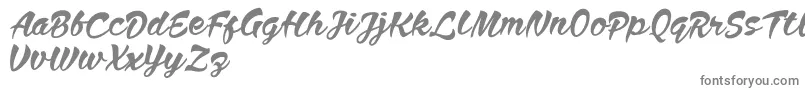 Anthem Nasney Font – Gray Fonts on White Background