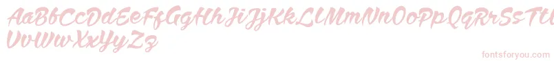 Anthem Nasney Font – Pink Fonts on White Background